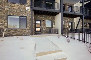 New construction Single-Family house 943 Schlagel St, Unit 4, Fort Collins, CO 80524 plan Overland - image