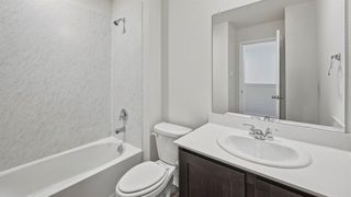 New construction Single-Family house 302 Arbor Dr, Princeton, TX 75407 plan Argentina - image