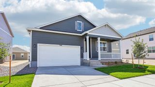 New construction Single-Family house 5625 Gelbray Pl, Windsor, CO 80528 plan Chatham - image