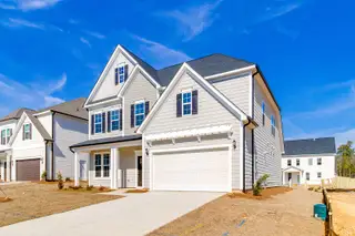 New construction Single-Family house 345 Rising Stream Wy, Chapin, SC 29036 plan Savannah - image