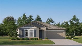 New construction Single-Family house 10038 Gentle Rain Drive, Land O' Lakes, FL 34638 - photo