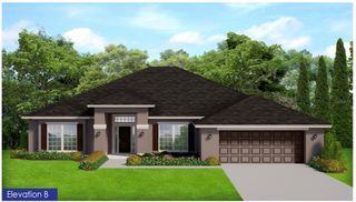 New construction Single-Family house 36861 Hidden View Cir, Dade City, FL 33523 - image