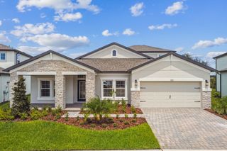 New construction Single-Family house 31293 Hayman Lp, Wesley Chapel, FL 33545 plan Roxbury - image