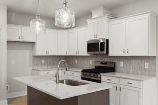 New construction Single-Family house 117 Hayden Ln, Unit 227, Gallatin, TN 37066 plan Cumberland - image