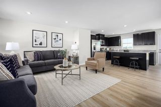 New construction  house 8071 Marchwood Blvd, Cane Ridge, TN 37013 plan Cedar - image