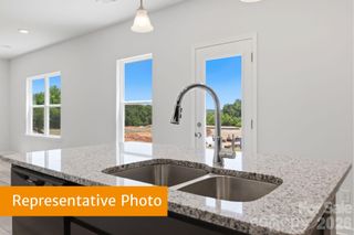 New construction Single-Family house 2316 Painted Trl, Catawba, NC 28609 - image
