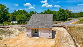 New construction Single-Family house 151 Bunker Hill Pl, Unit 50, Angier, NC 27501 - image