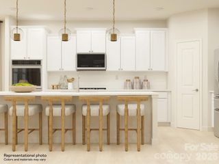 New construction Single-Family house 5406 Redbud Rd, Lancaster, SC 29720 plan Dover II - image