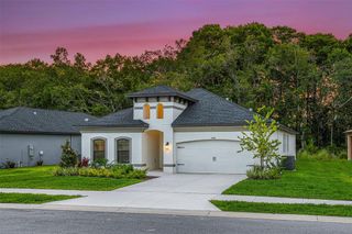 New construction Single-Family house 11335 Striped Bass Ct, New Port Richey, FL 34654 plan Salerno - image
