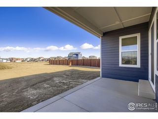 New construction Single-Family house 1854 Equinox Dr, Windsor, CO 80550 plan Plan C417 - image
