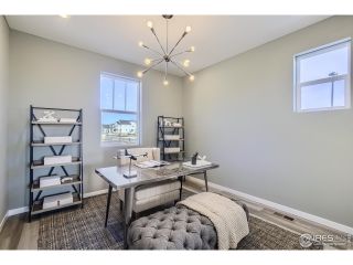 New construction house 787 May Apple Ln, Fort Collins, CO 80524 plan Parmalee - image