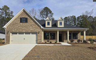 New construction Single-Family house 319 Murray Falls Ln, Chapin, SC 29036 - image