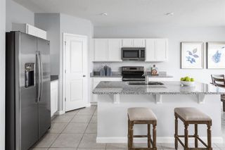 New construction house 1409 Laramie Wy, Haines City, FL 33844 plan Mahogany - image