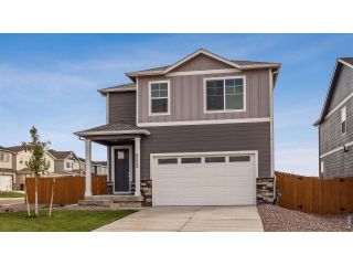 New construction Single-Family house 873 Trumpet Ln, Windsor, CO 80550 plan Elder - image