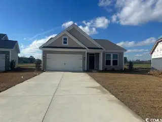 New construction Single-Family house 169 River Birch Dr, Unit 153 Bailey11, Loris, SC 29569 plan Bailey II - image