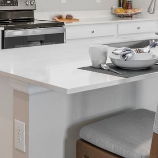 New construction house 3956 Sweet Alyssum Ter, Alva, FL 33920 plan Trevi - image