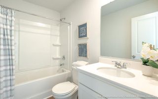 New construction Single-Family house 617 Sweet Ramble Way, Summerville, SC 29486 plan BRANDON - image