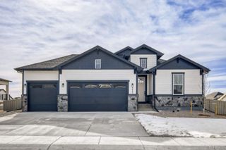 New construction Single-Family house 8423 David Rudabaugh Dr, Colorado Springs, CO 80908 plan Plan C411 - image