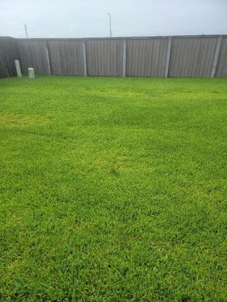 New construction Single-Family house 16706 Grazed Fallow Trl, Hockley, TX 77447 plan Newlin - image