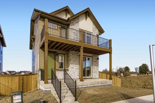 New construction Single-Family house 3864 W 82Nd Ln, Westminster, CO 80031 - image