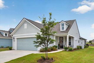 New construction Single-Family house 723 Blue Iris Wy, Summerville, SC 29486 plan Contour - image