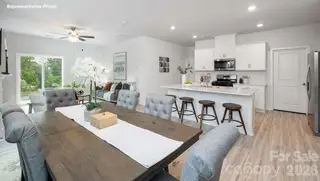 New construction Single-Family house 15138 Puffin Ct, Charlotte, NC 28215 - image