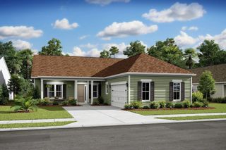 New construction  house 22 Java Plum St, Bluffton, SC 29909 plan Ravenna - image
