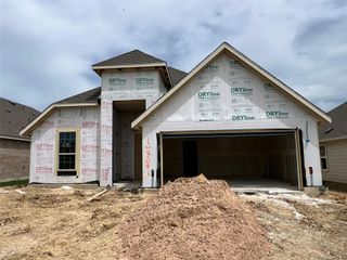New construction Single-Family house 14309 Duckworth Trce, Manor, TX 78653 Premier Series - Palm- photo