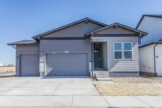 New construction Single-Family house 774 Trumpet Ct, Windsor, CO 80550 plan Christie - image