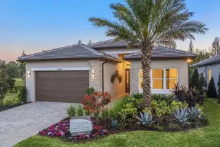 New construction Single-Family house 32523 Neroli St, Wesley Chapel, FL 33543 plan Claudia - image