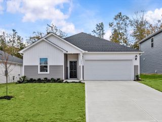 New construction Single-Family house 546 Harben Dr, Woodruff, SC 29388 plan Buchanan - image