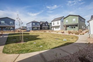 New construction Single-Family house 3255 Comet St, Fort Collins, CO 80524 plan Marigold - image