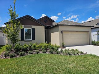 New construction Single-Family house 1247 Honeycomb Pl, Seffner, FL 33584 plan Sweetwater - image