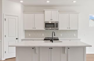 New construction Single-Family house 351 Blue Oak Dr, Moncks Corner, SC 29461 plan Avery - image