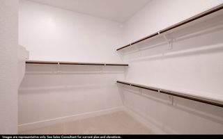 New construction Single-Family house 801 Wormwood Dr, League City, TX 77573 plan Malibu - image