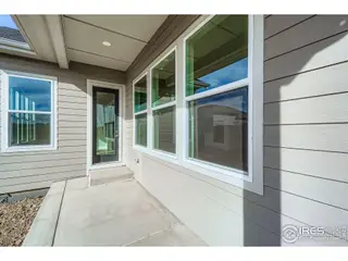 New construction Single-Family house 1825 Flourish Dr, Windsor, CO 80550 plan Plan C552 - image