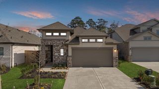 New construction  house 259 Navasota Narrows Wy, Conroe, TX 77304 plan Elgin - image