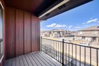 New construction Single-Family house 931 Schlagel St, Unit 5, Fort Collins, CO 80524 plan Overland - image