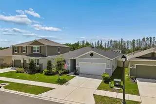 New construction Single-Family house 20121 Azul Marble Lp, Land O' Lakes, FL 34638 - image