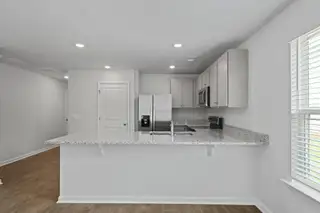 New construction Single-Family house 617 Perch Lane Ct, Santee, SC 29142 - image