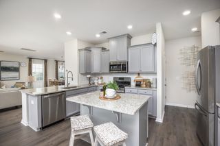 New construction Single-Family house 348 Camellia Bloom Dr, Moncks Corner, SC 29461 plan EVANS - image