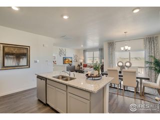 New construction Single-Family house 5828 Tulim Ln, Windsor, CO 80528 plan CHATHAM - image