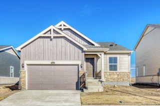 New construction Single-Family house 9134 Old Divide Dr, Colorado Springs, CO 80908 plan Dolly - image