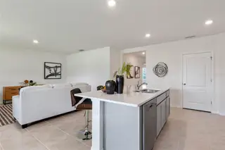 New construction Single-Family house 1229 Alstonia Ln, Mount Dora, FL 32757 - image