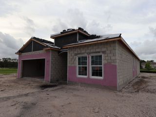 New construction Single-Family house 34299 Grande Dominion Dr, Zephyrhills, FL 33541 plan Madeira II - image