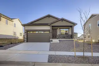 New construction house 245 Kobe Ln, Johnstown, CO 80534 plan Dolly - image