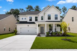 New construction Single-Family house 569 Yellow Leaf Ln, Summerville, SC 29486 plan Georgetown - image
