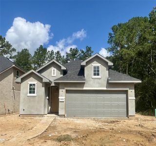 New construction Single-Family house 29985 Stony Forest Dr, Magnolia, TX 77354 plan Plan 3034 Elevation C - image