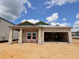 New construction Single-Family house 12338 Stirrup Dr, Dade City, FL 33525 plan Picasso - image