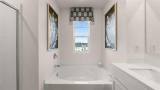 New construction Single-Family house 96 White Spruce Wy, Newnan, GA 30265 - image